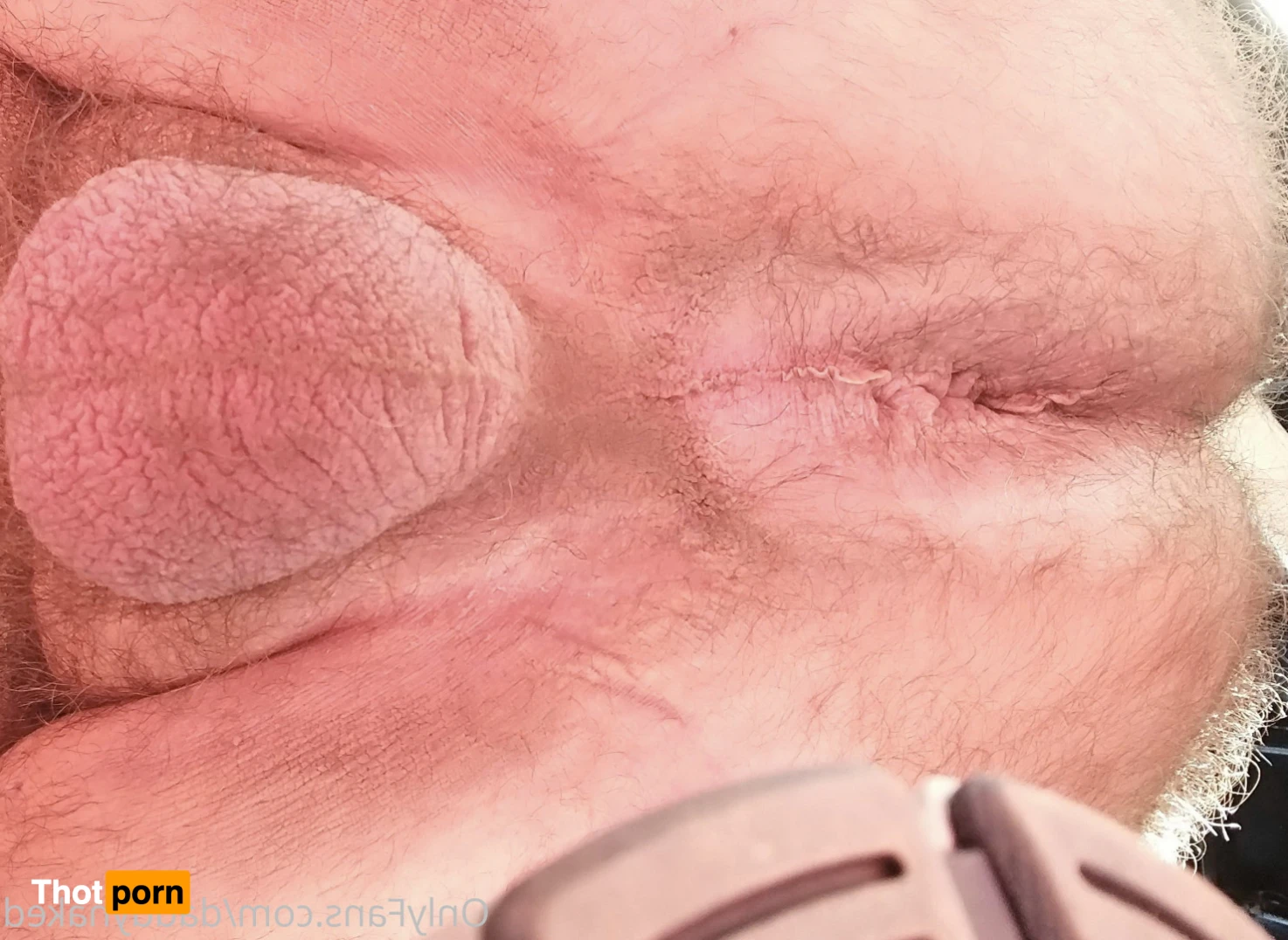 naked-daddy 15182587