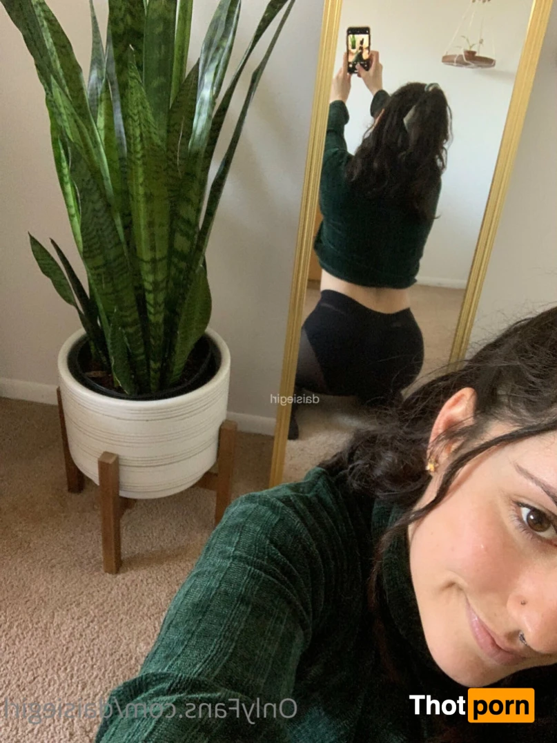 daisie 16363036