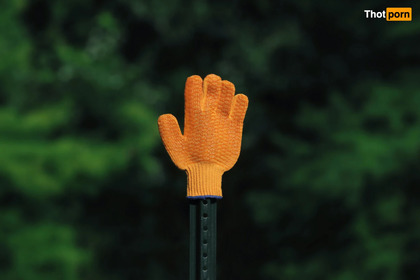 fatsackfails 13730552