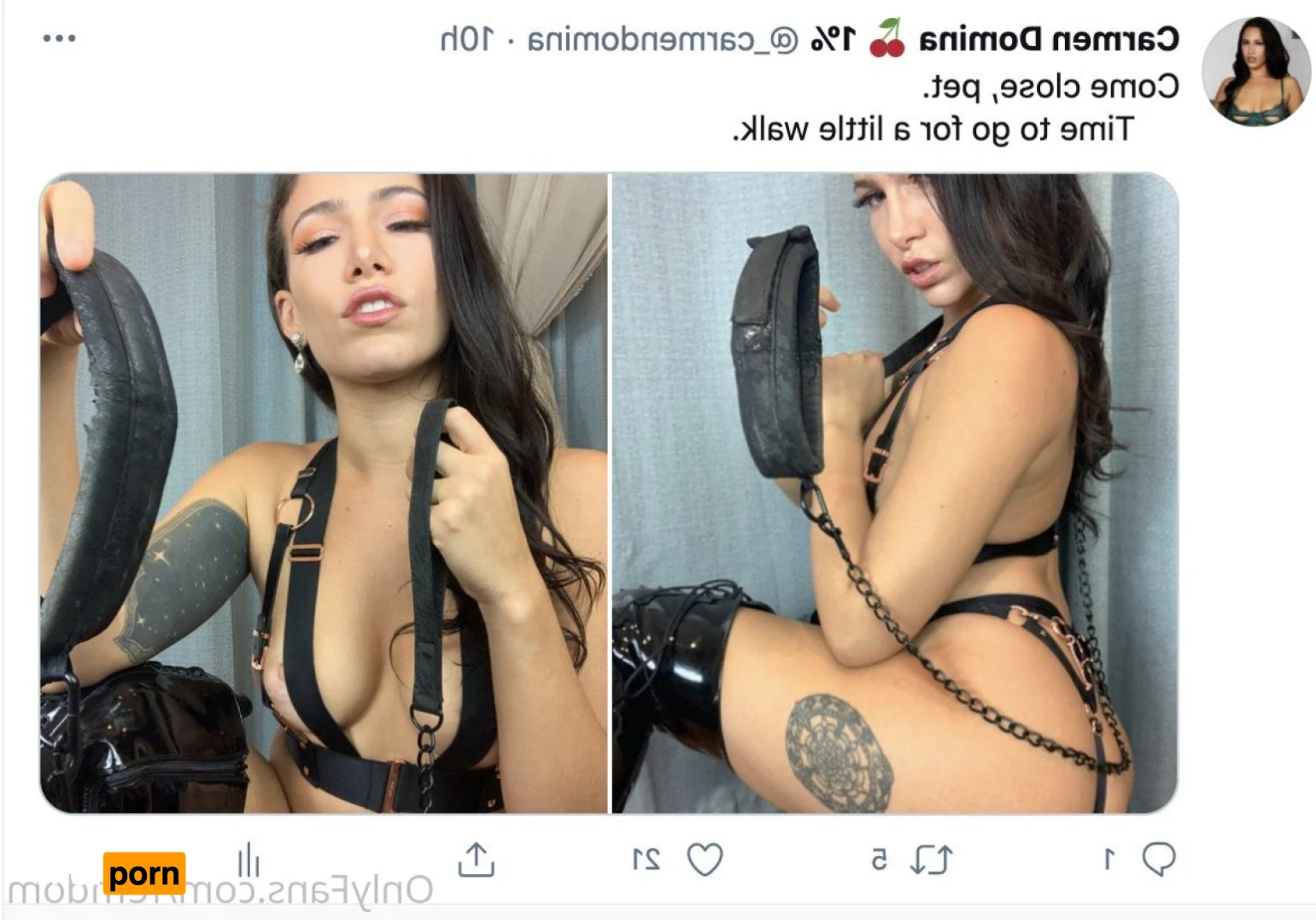 Carmen Domina 14933454