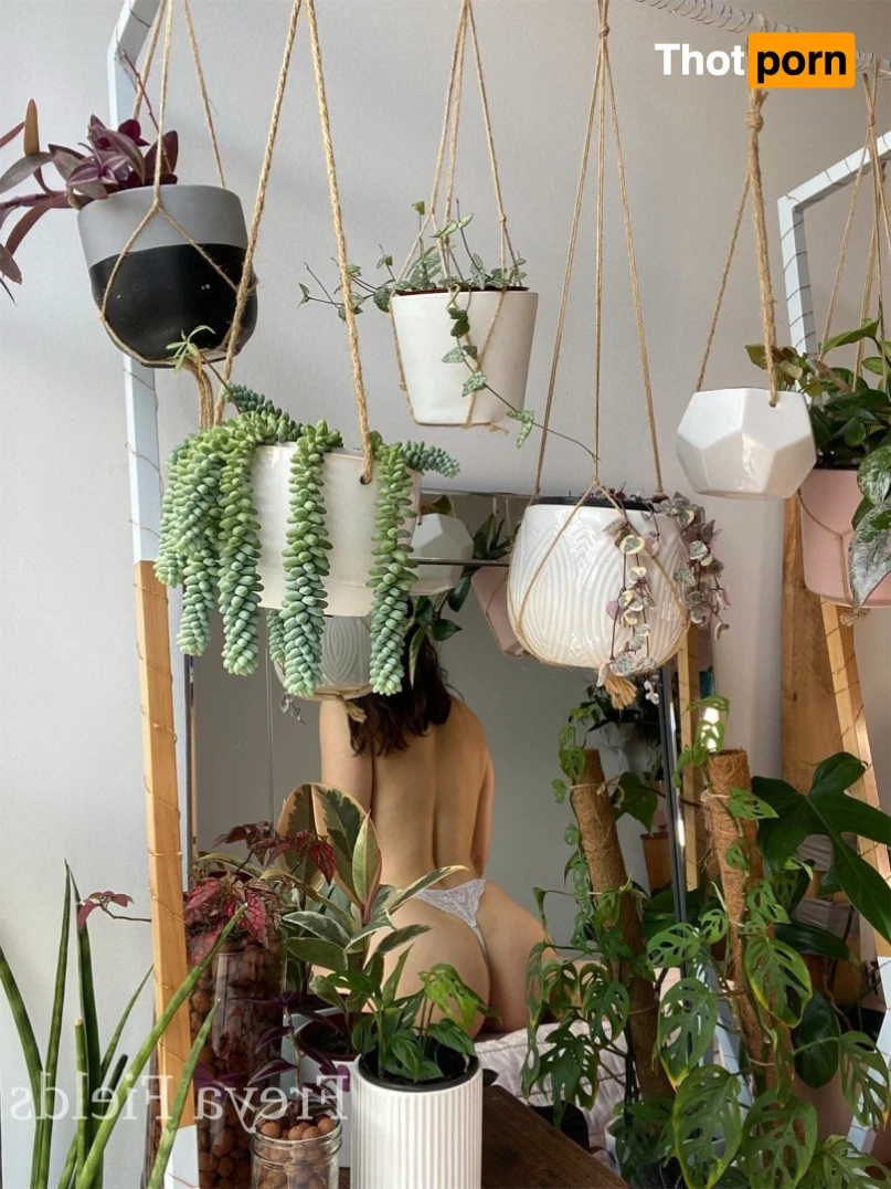 Freya Fields 16538443