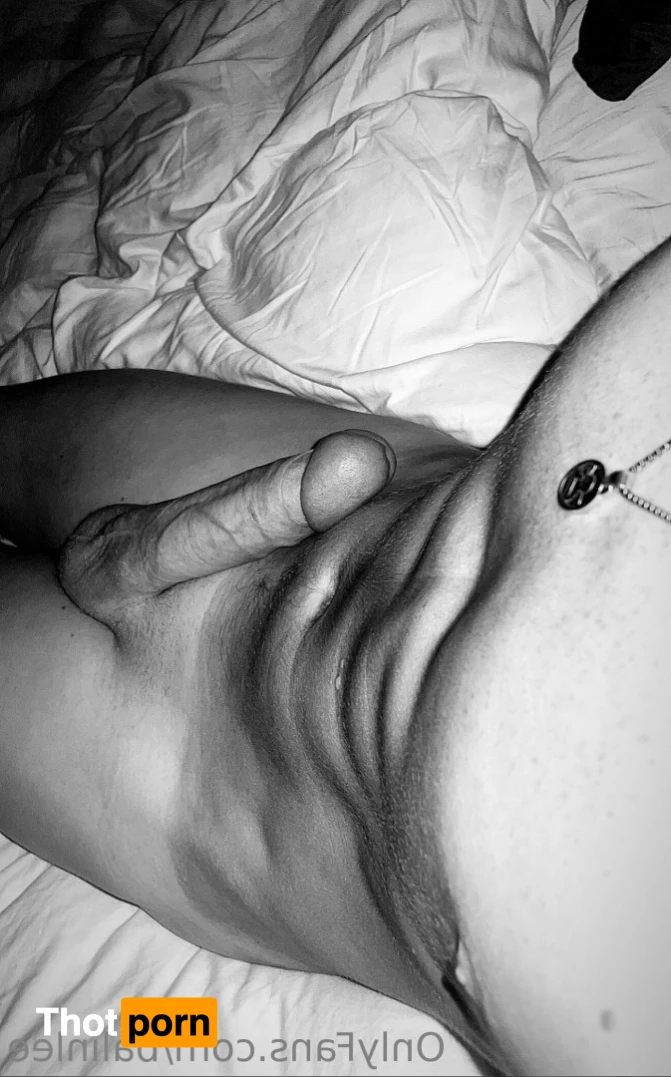 Hung Aussie 14724263