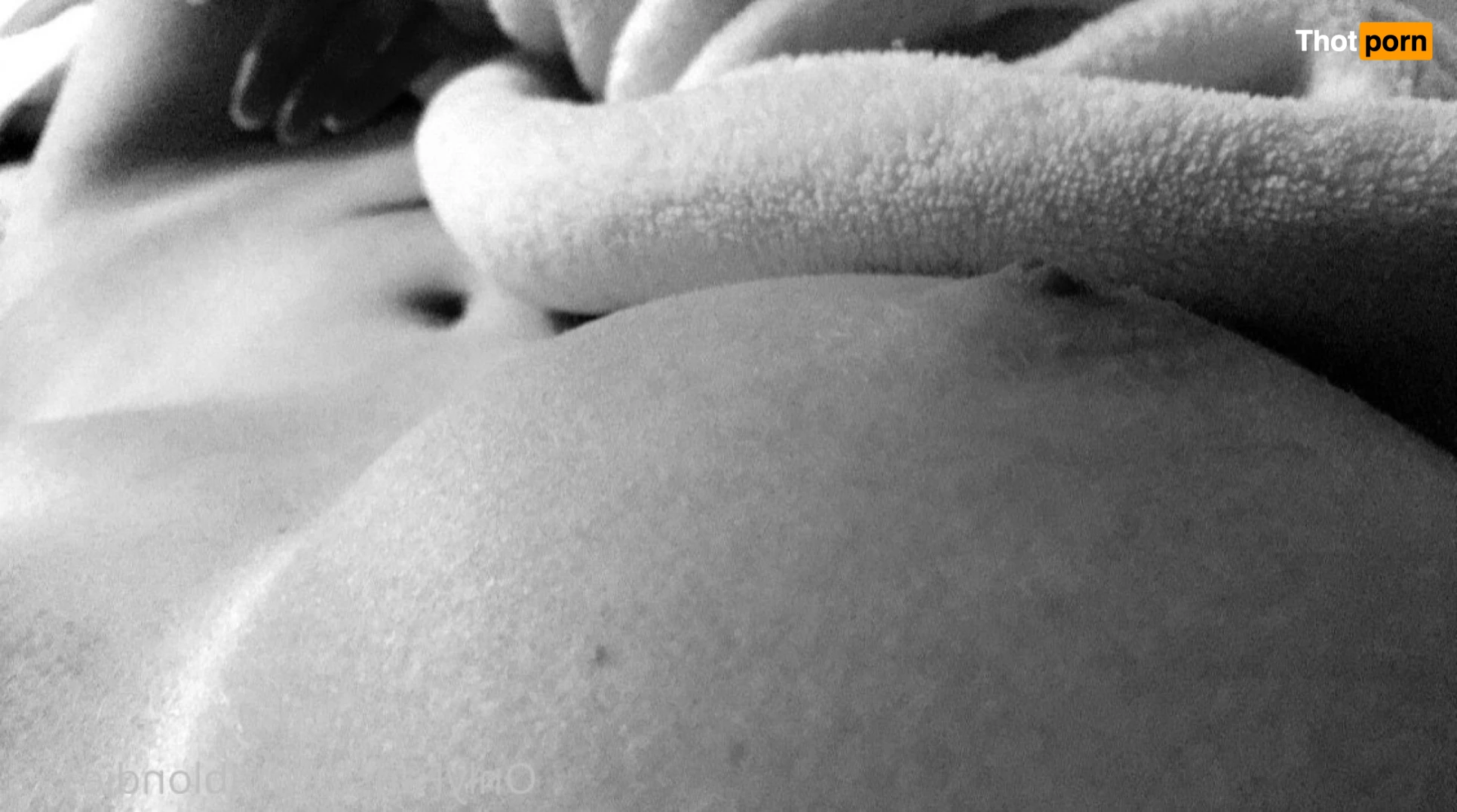 iblondie123 13537881