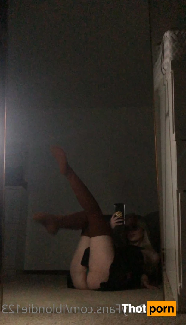 iblondie123 13651266