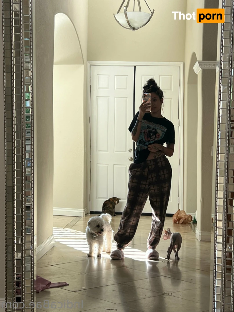 Indica 🦋 14071610