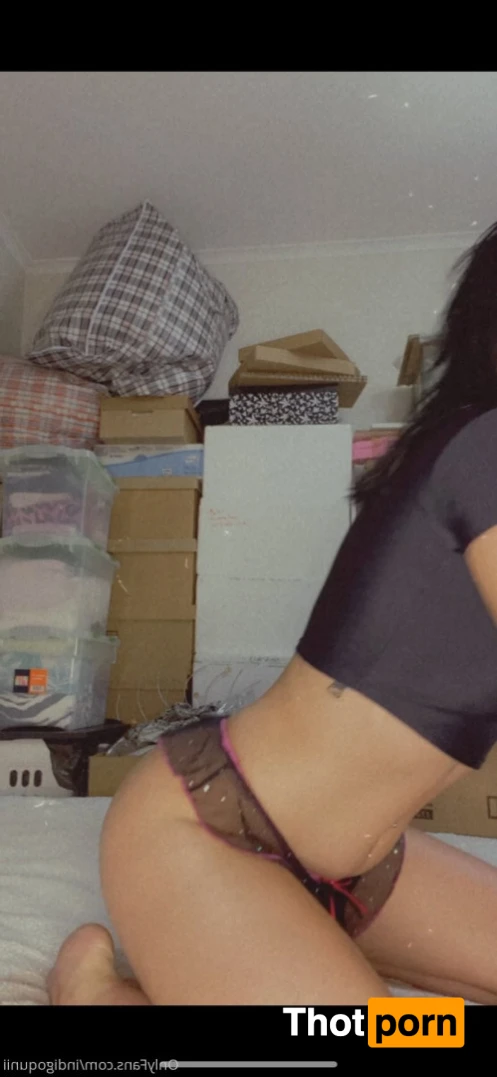 ℑ𝔫𝔡𝔦𝔤𝔬 𝔗𝔞𝔶𝔩𝔬𝔯 15558112