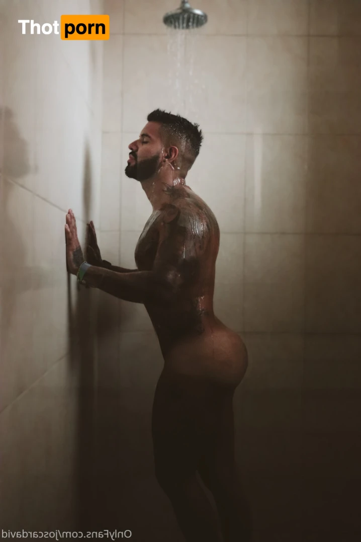 joscardavid 13011439