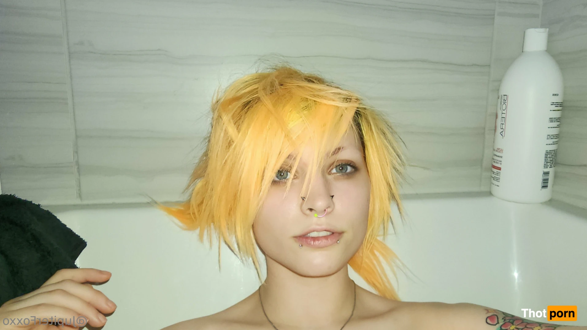 Jupiter Foxxo 🌟 16340584