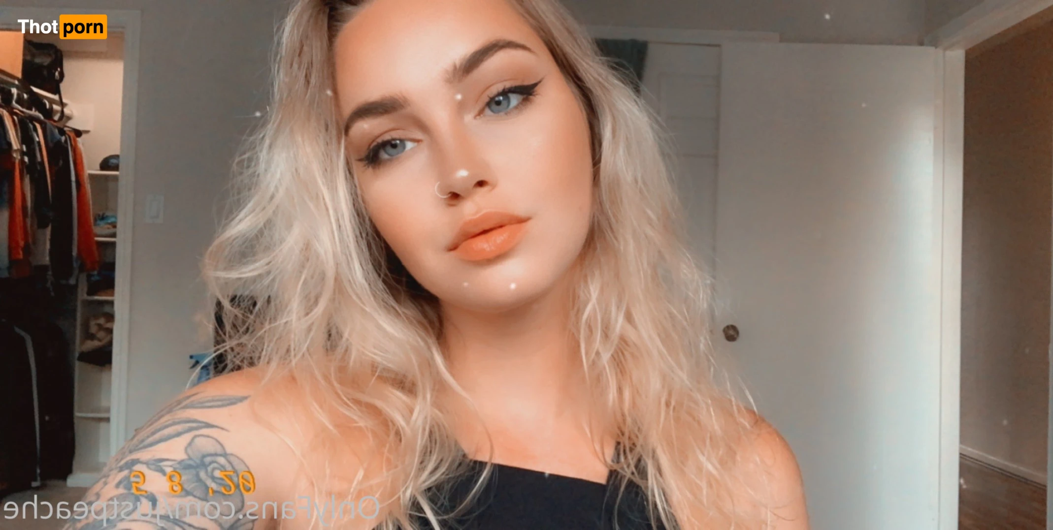 ALEXIS 🍑 14135908