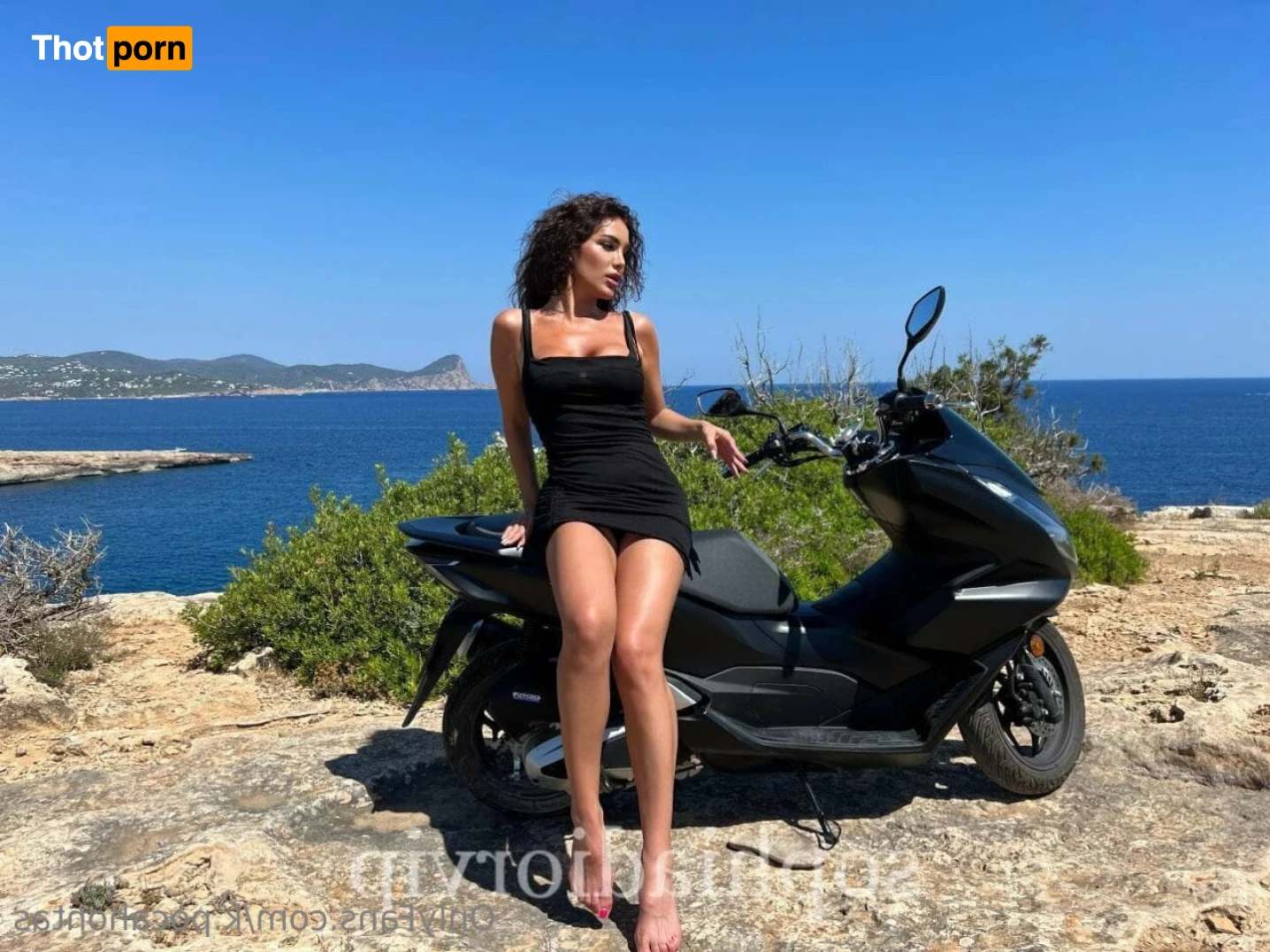 Queen Katrin 14517271