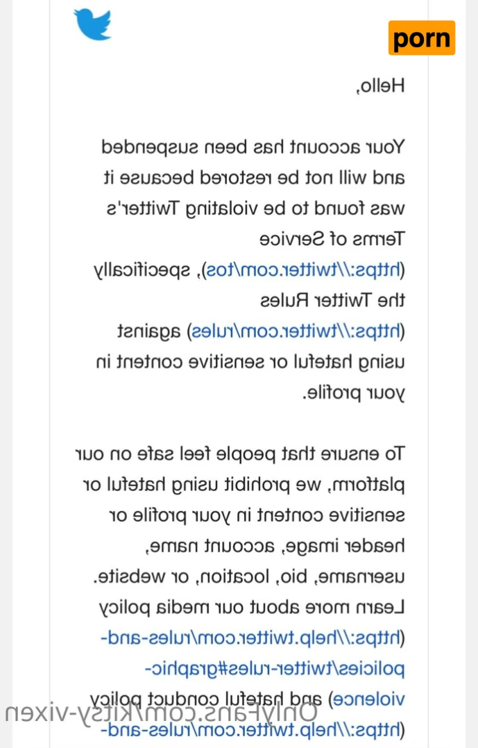 Kitsy Vixxxen- Fart Fetish💨 14492008