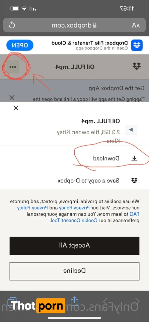 Kitsy Vixxxen- Fart Fetish💨 14492373