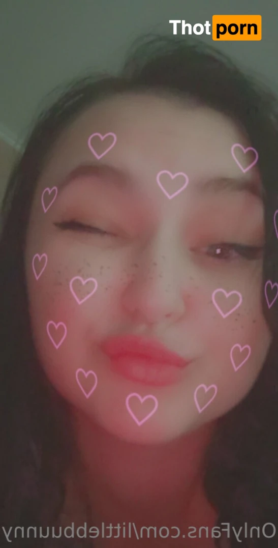 LittleBunny 11082129