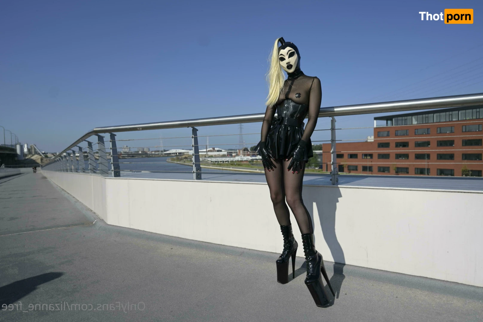 lizanne_free 11351893