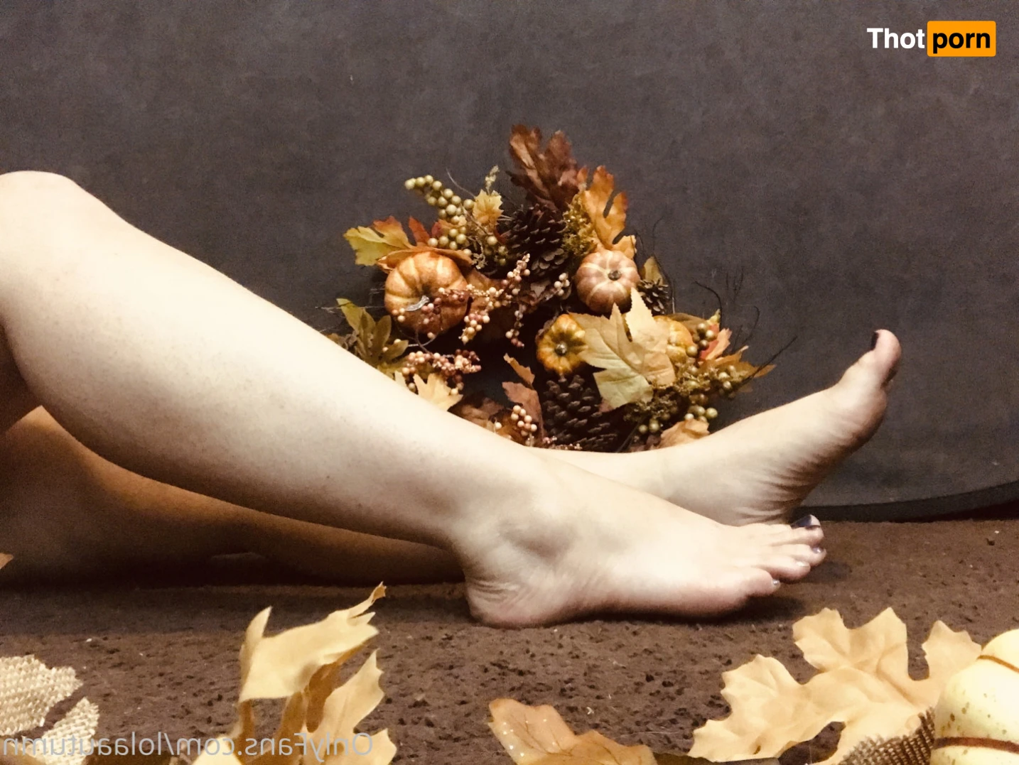 Lola Autumn 11495912