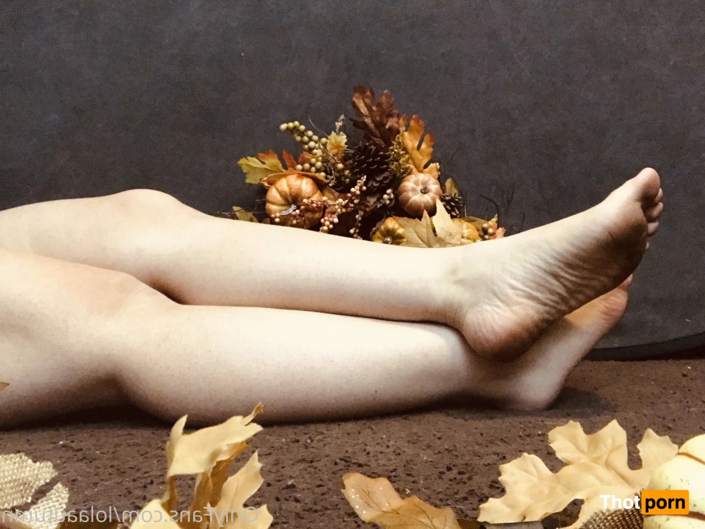 Lola Autumn 11515168