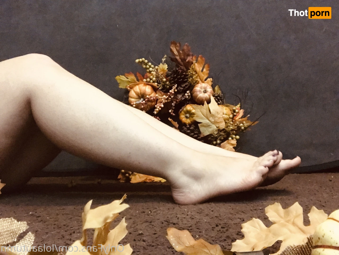 Lola Autumn 11527022