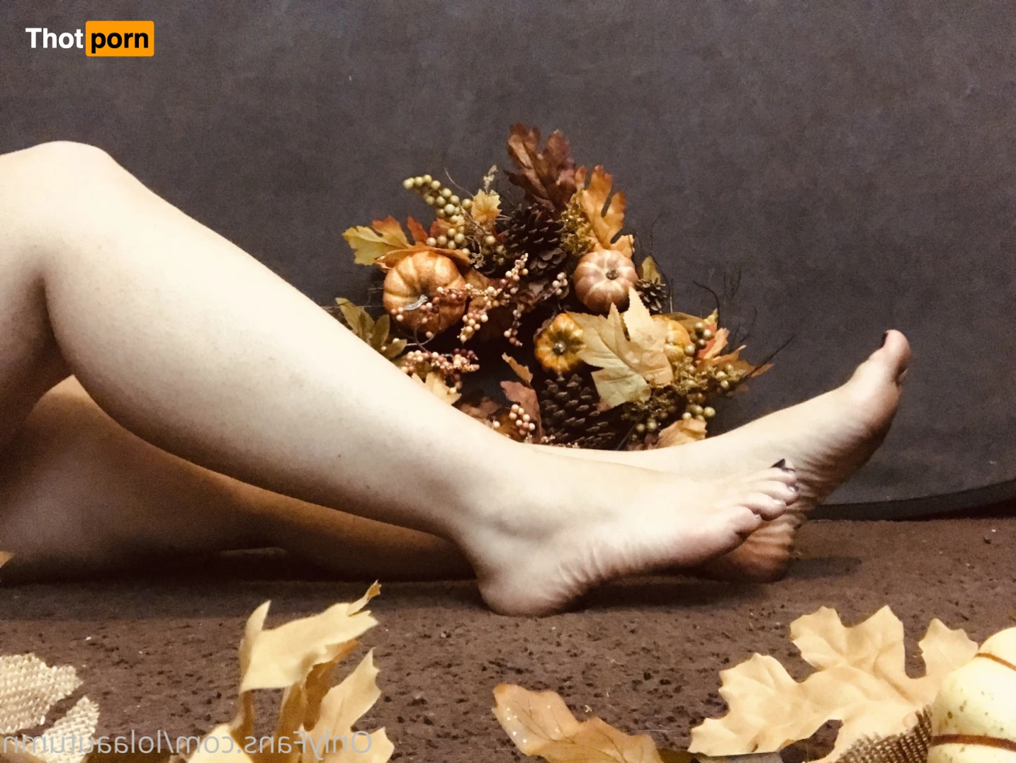 Lola Autumn 11530865