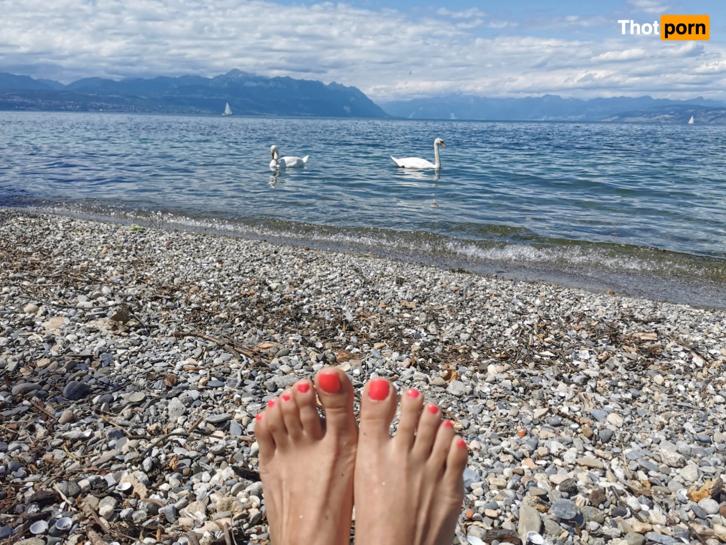 Lou Charmelle FREE 14264133