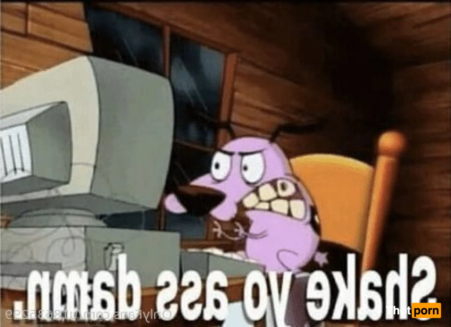 Pita💖✨ 15433459