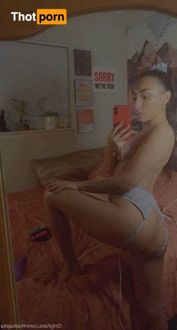 Pita💖✨ 15472447