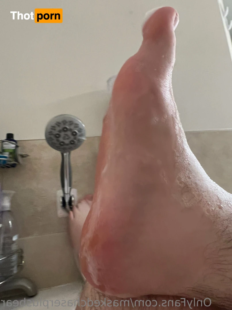 Masked Chaser and Bear 15486703