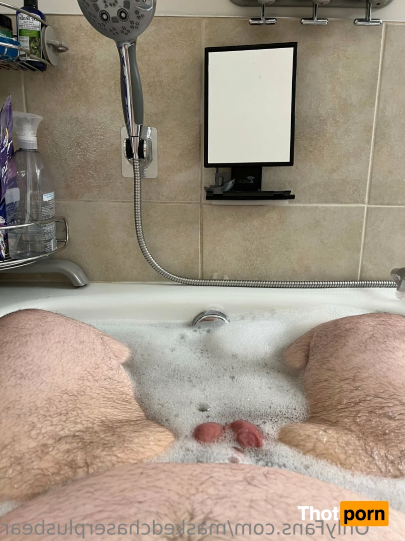 Masked Chaser and Bear 15494027