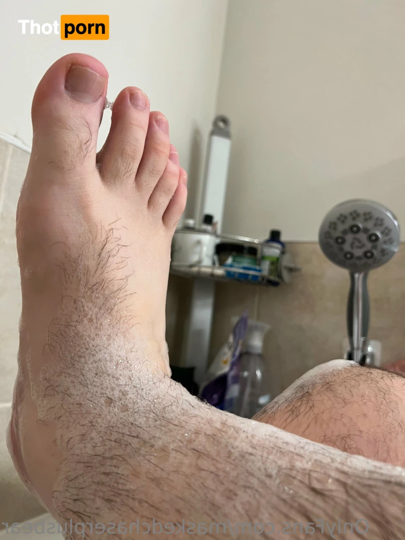 Masked Chaser and Bear 15525363