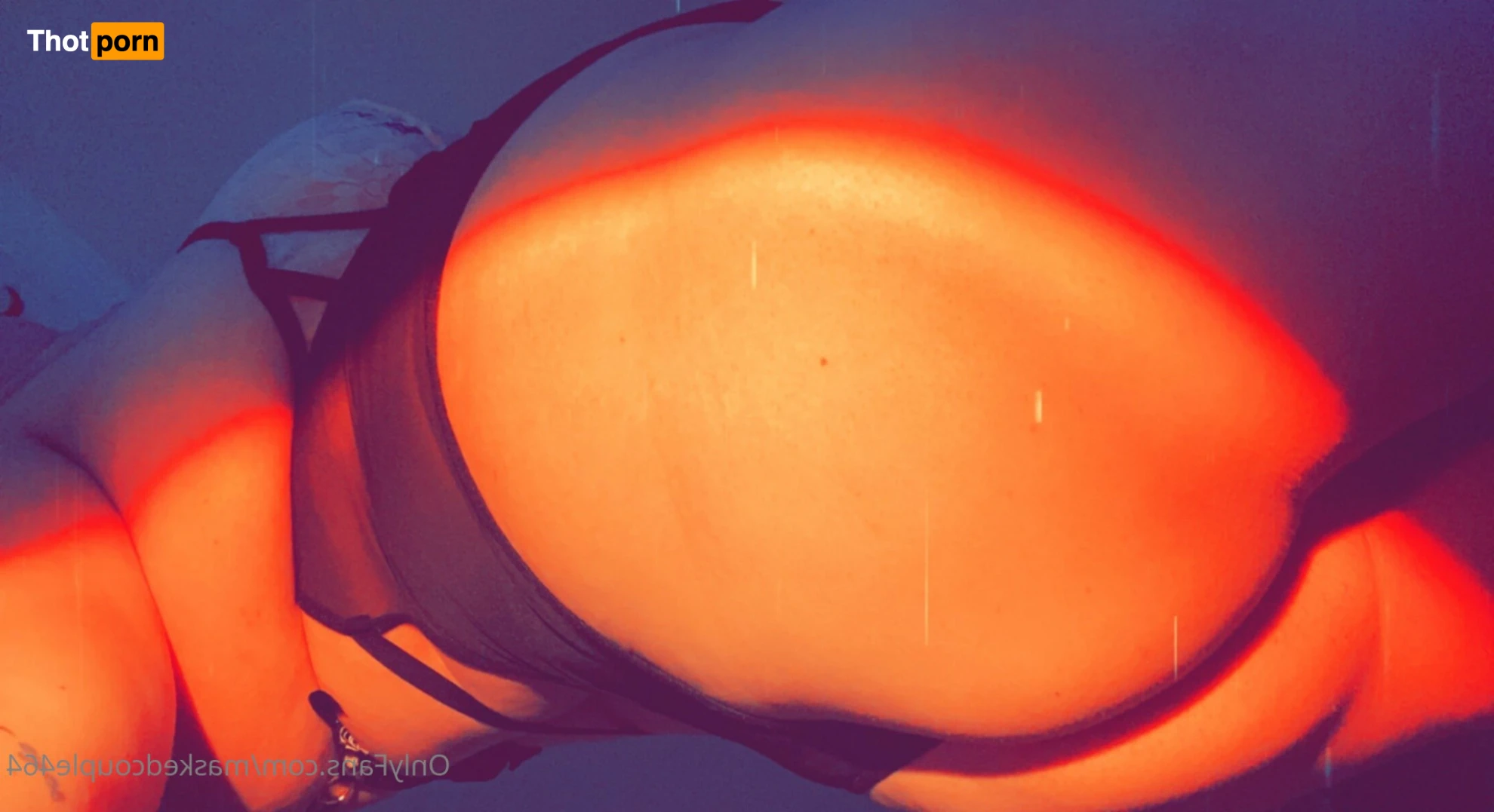 Alicia Corey 13788610