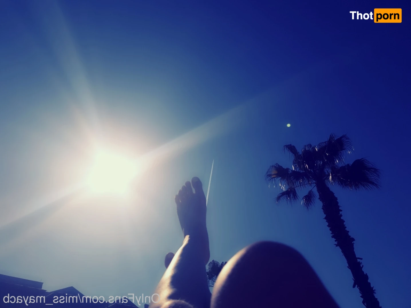 ✨ Maya ✨ 13058220