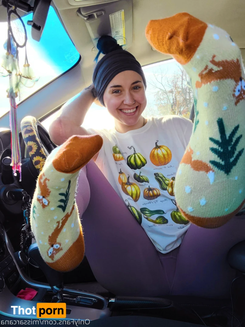 Miss Arcana 16522348