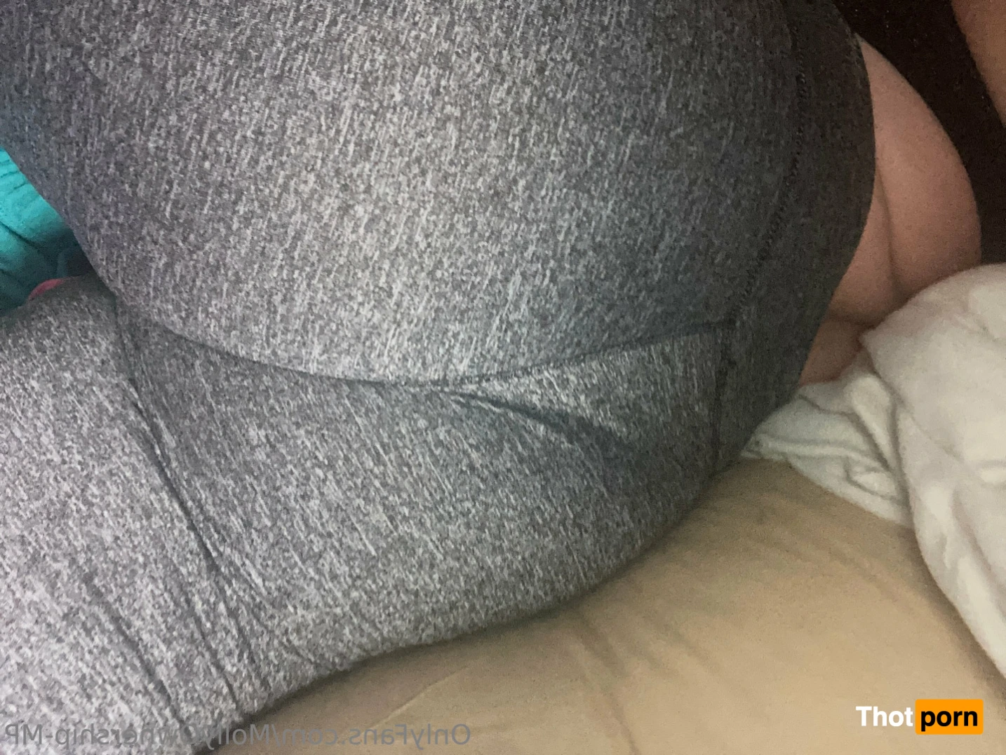 Molly Perkoset 13802673