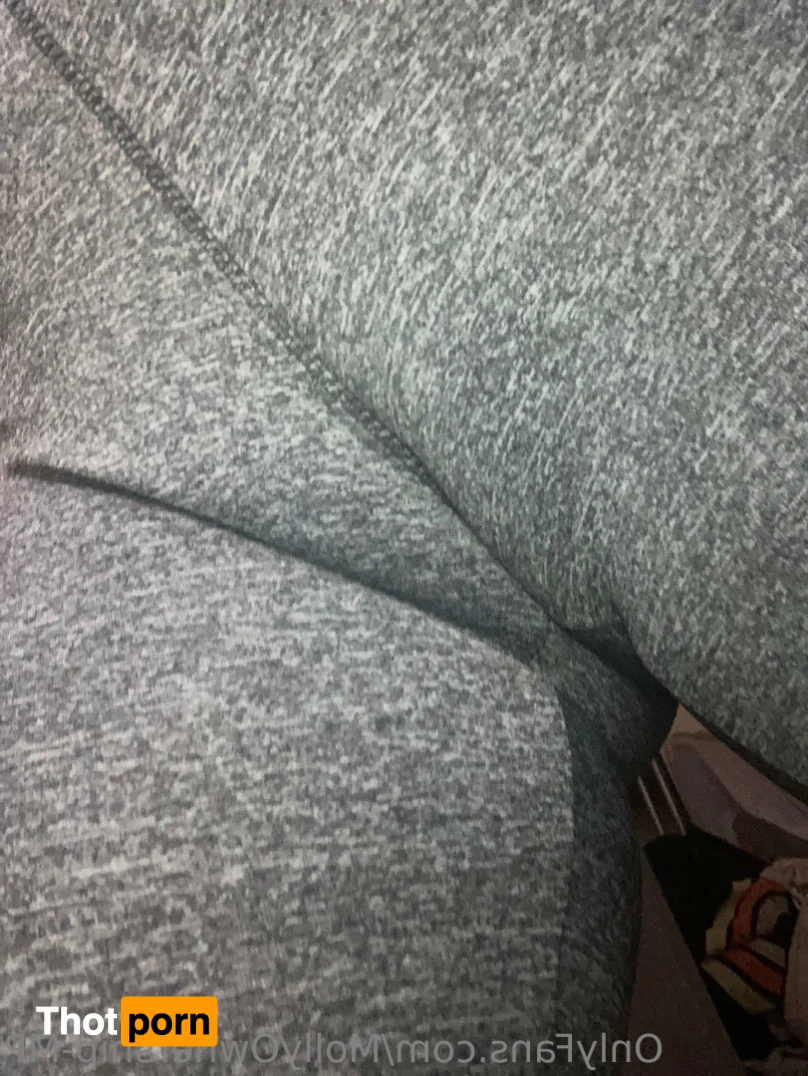 Molly Perkoset 13802999