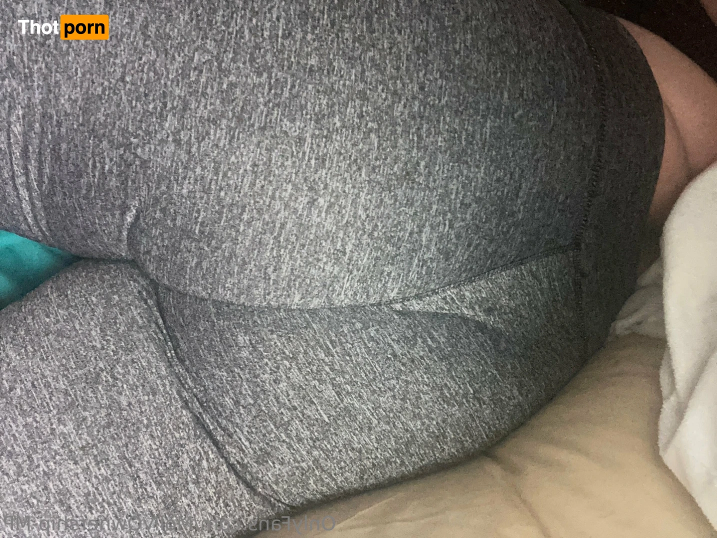 Molly Perkoset 13803066