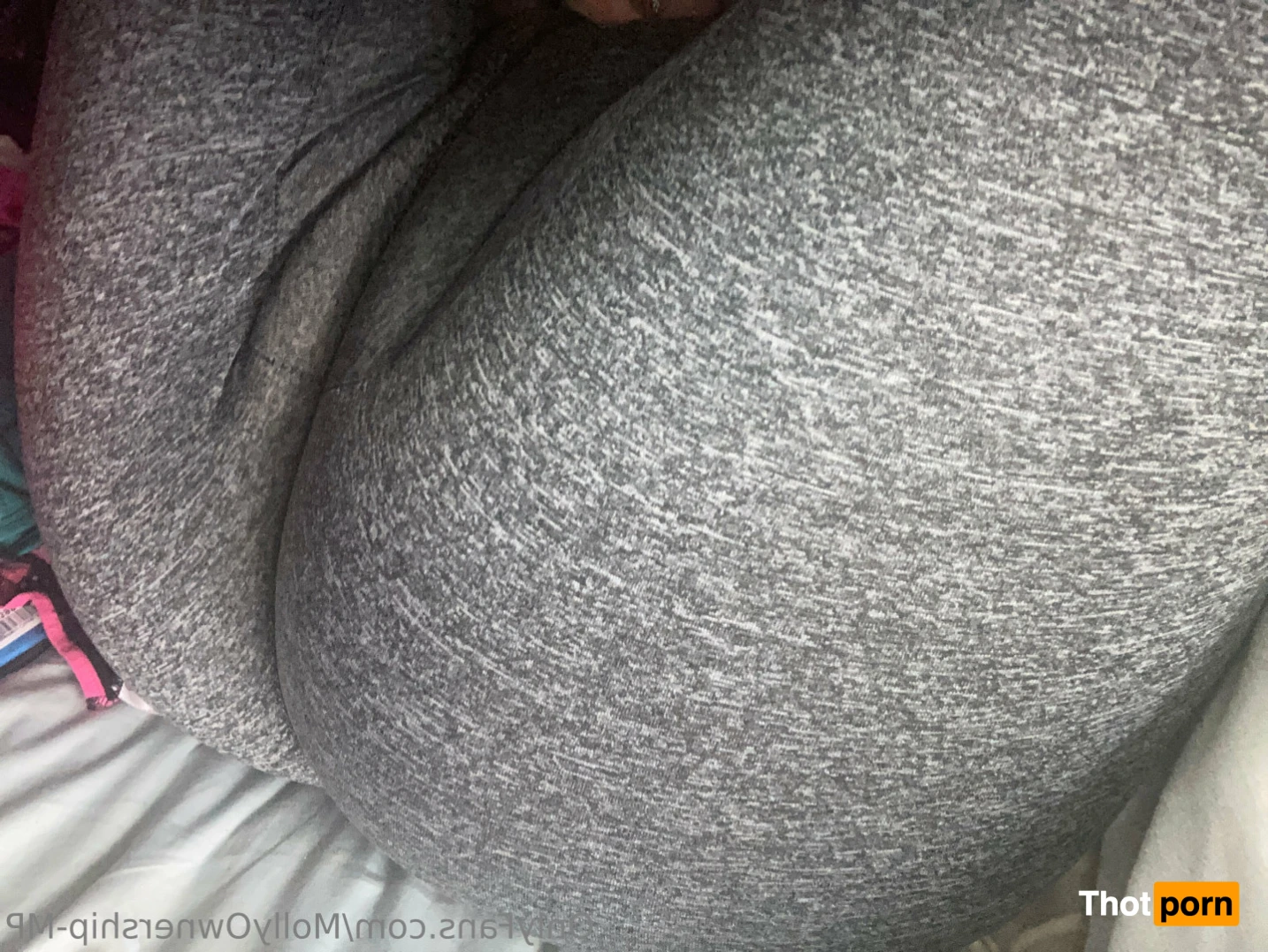 Molly Perkoset 13803304