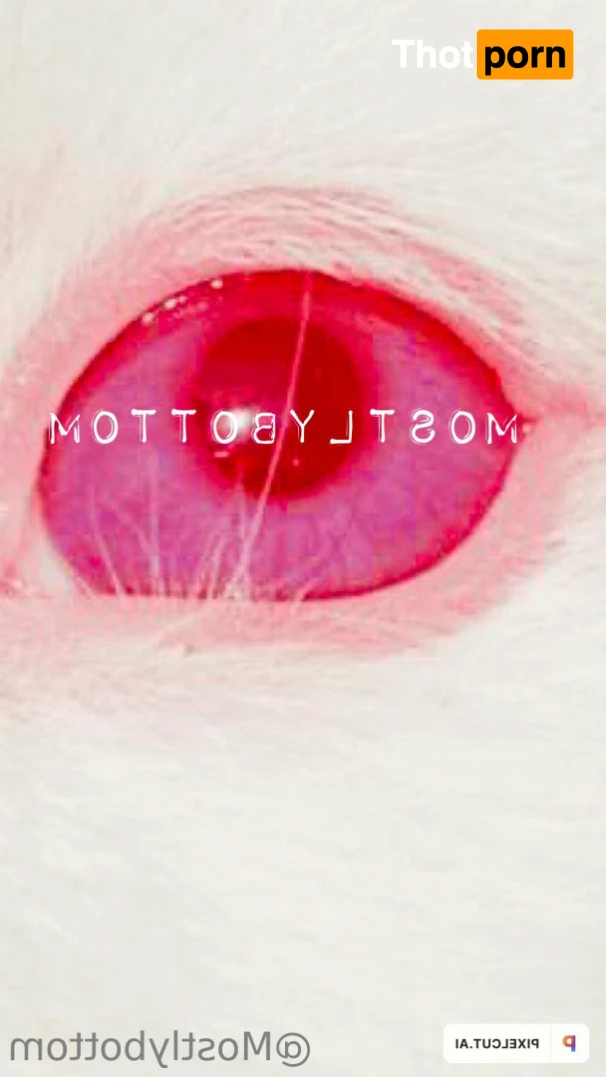 Gabe Bradshaw 13757801