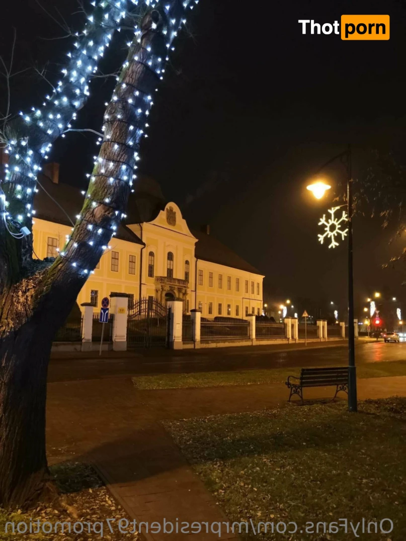 President Promotion Agency 12466685