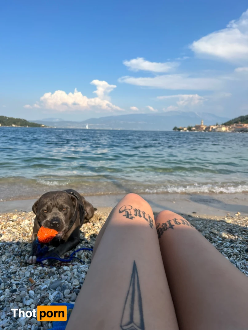 Elizabeth Sanchez 13257052