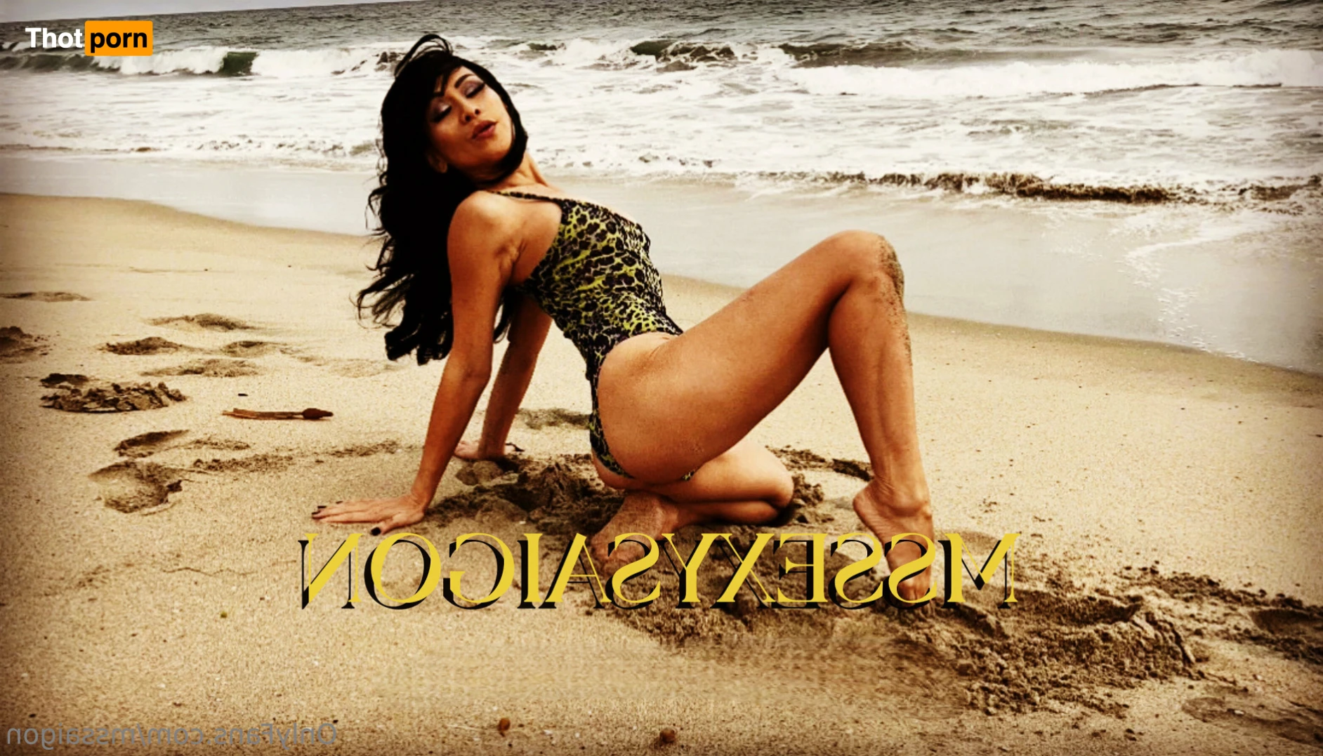 Asian Ms Saigon Silver 13869192