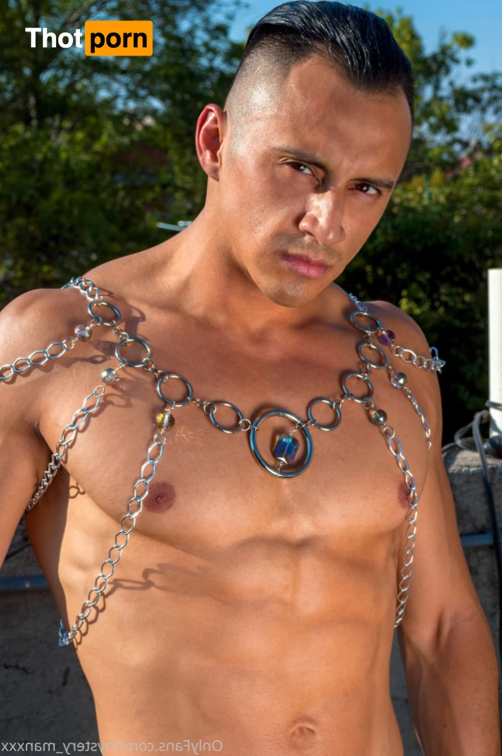 The Mystery Man 12378260