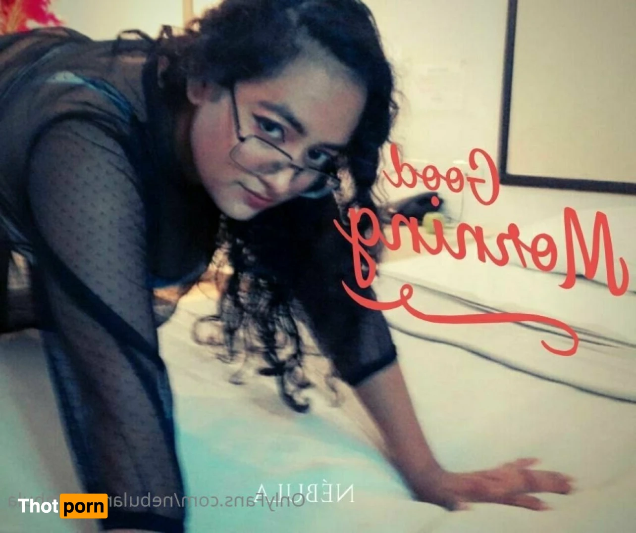 Nébula Noctámbula 13609344