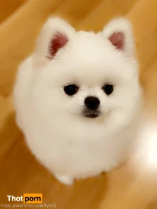 15714806