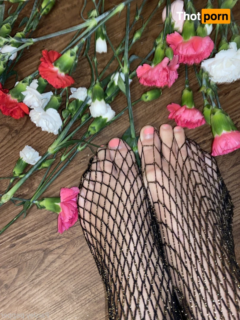 Paisley pepper 16458647