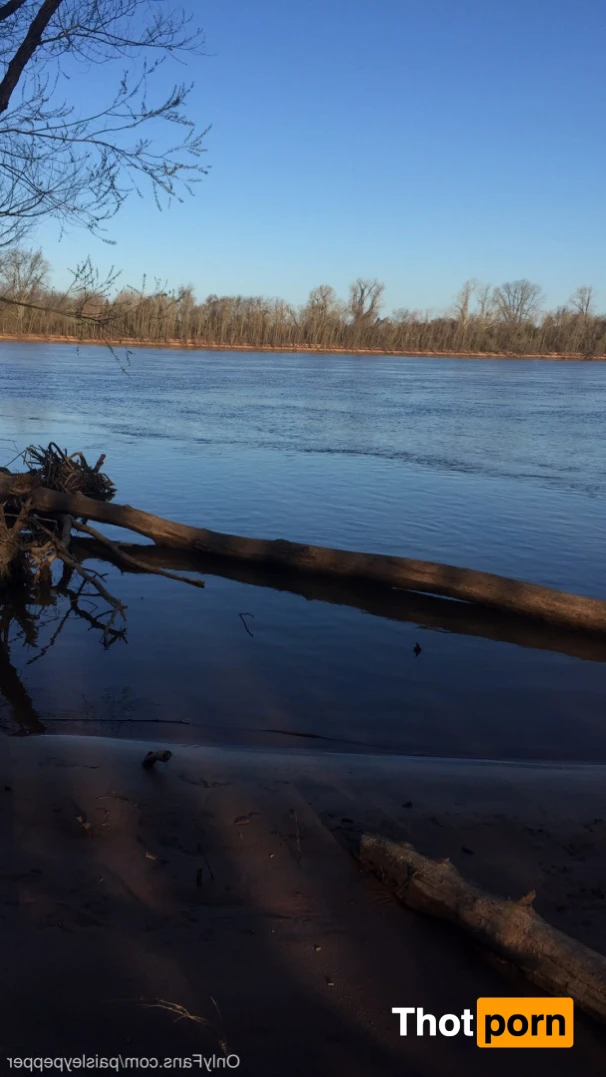 Paisley pepper 16465573