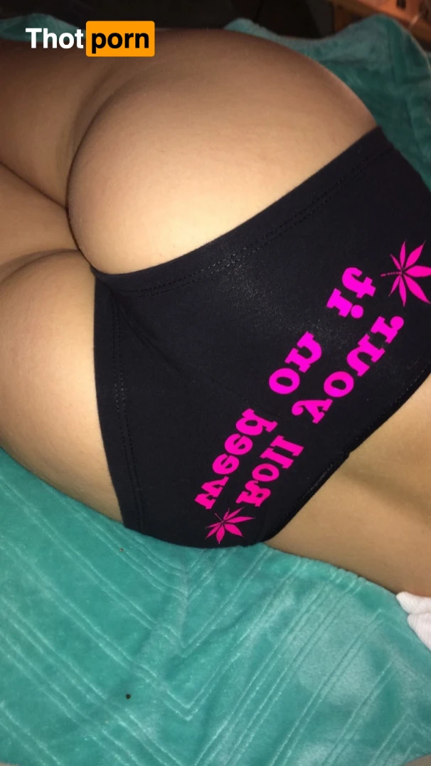 Paisley pepper 16469094