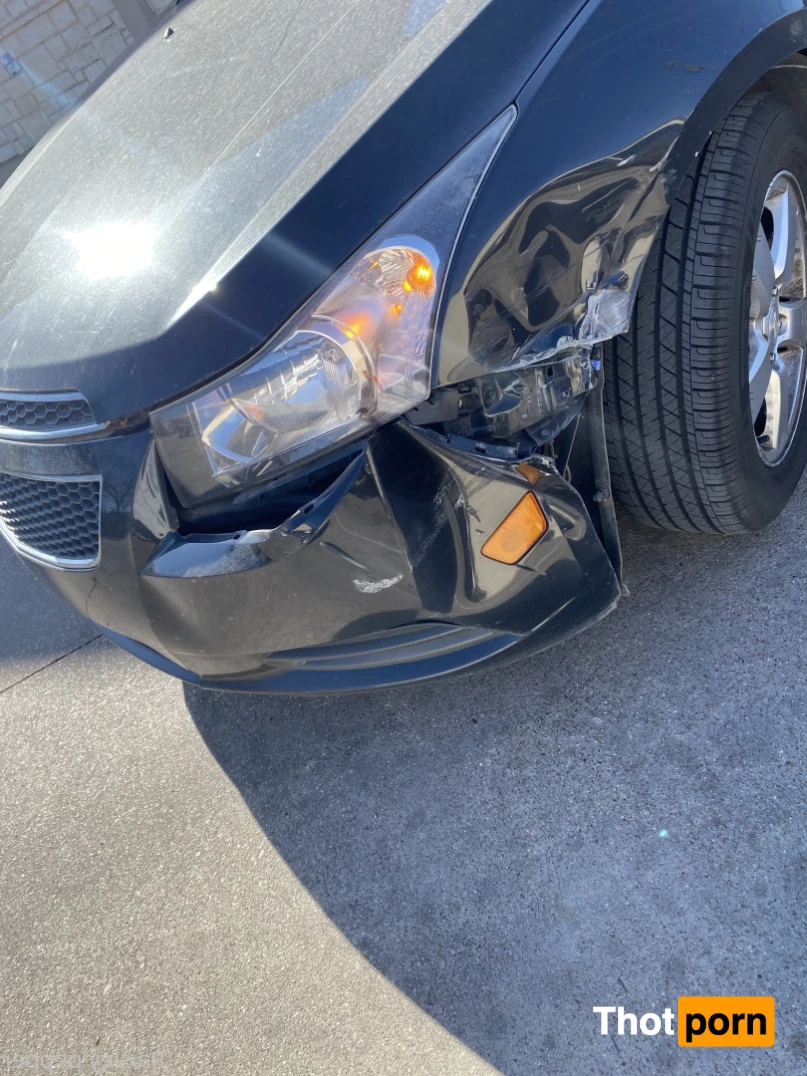 Paisley pepper 16478791