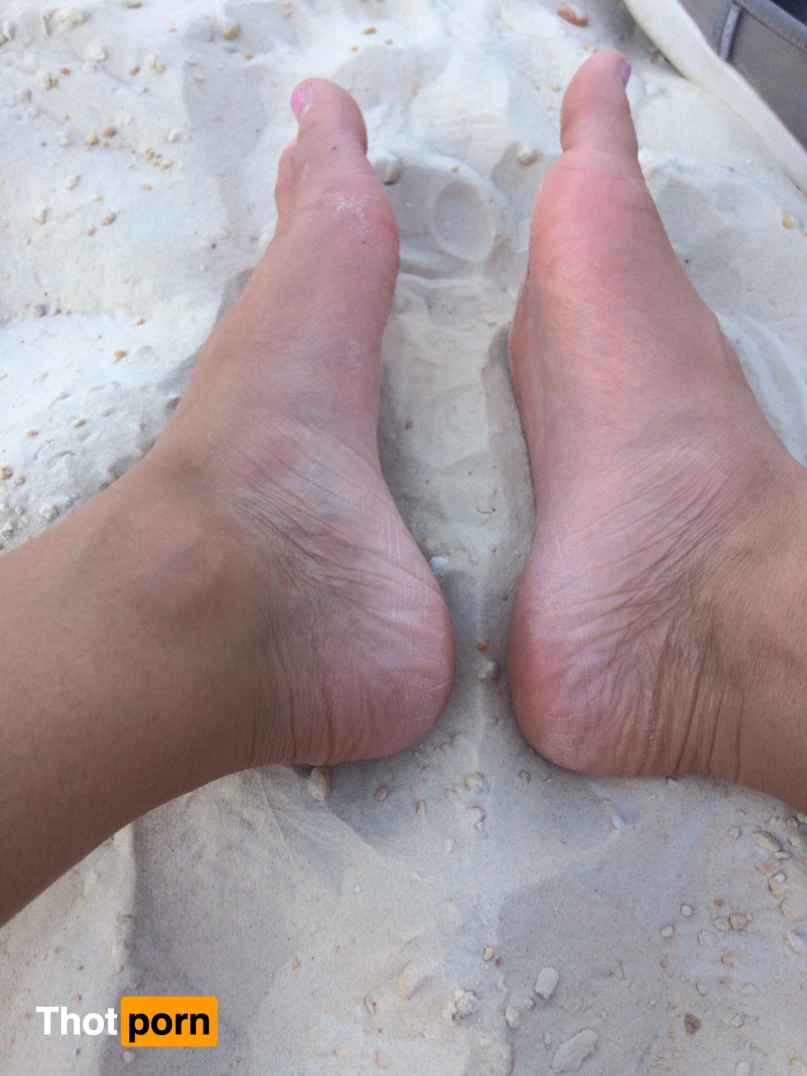 Paisley pepper 16487764