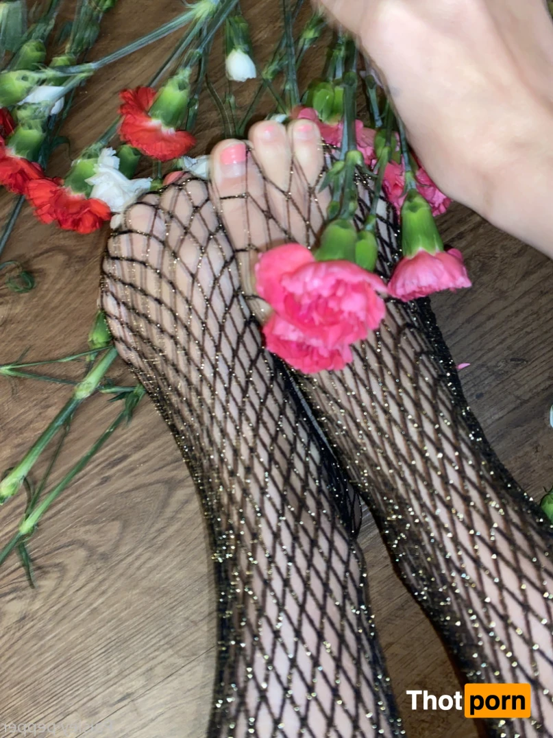 Paisley pepper 16488613