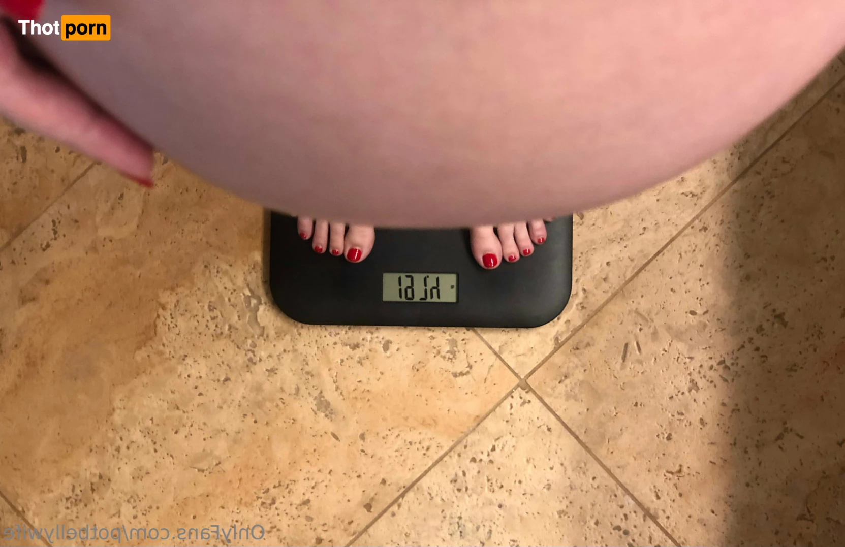 potbellywife 13534598