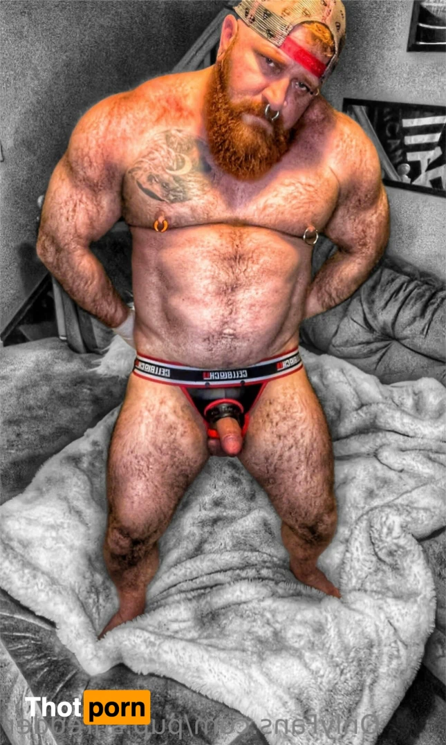 Pup Shredder 14985264